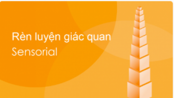 Ren luyen giac quan Sensorial