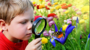  Connecting Children to Nature