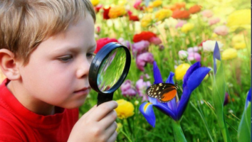 Conecting Children to Nature
